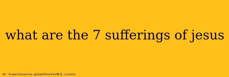 what are the 7 sufferings of jesus