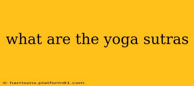 what are the yoga sutras