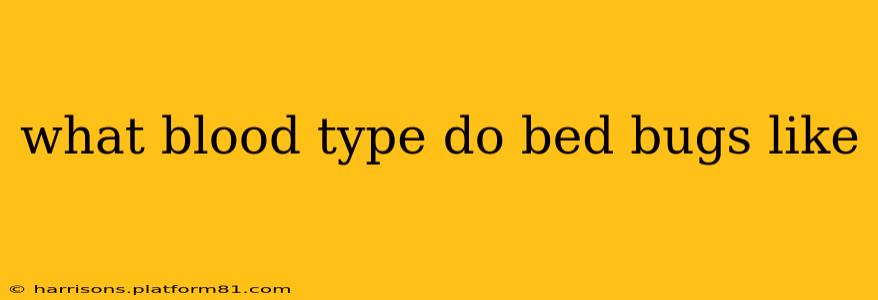 what blood type do bed bugs like