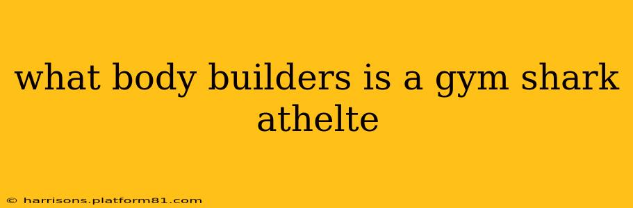 what body builders is a gym shark athelte