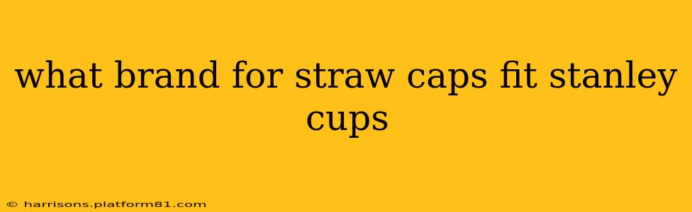 what brand for straw caps fit stanley cups