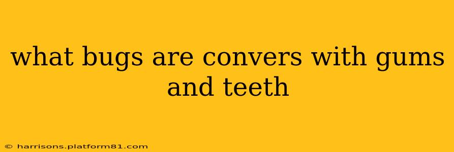 what bugs are convers with gums and teeth