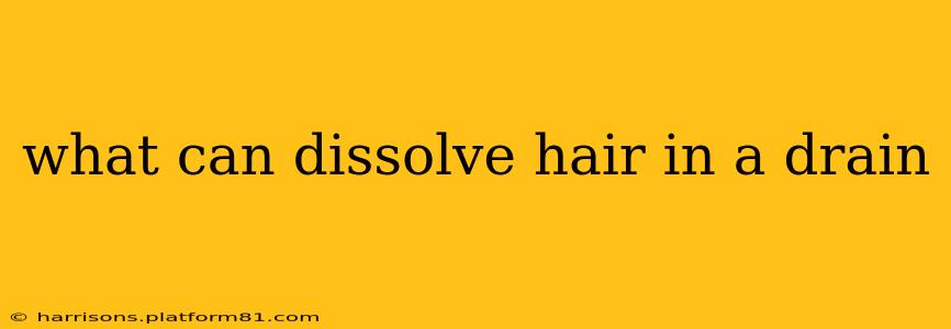 what can dissolve hair in a drain