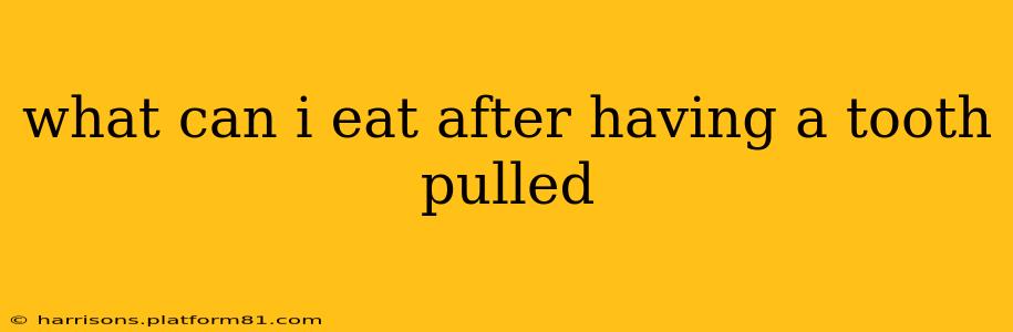 what can i eat after having a tooth pulled