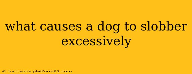 what causes a dog to slobber excessively