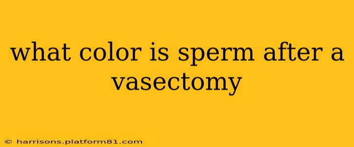 what color is sperm after a vasectomy