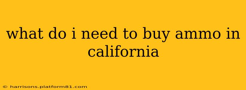 what do i need to buy ammo in california