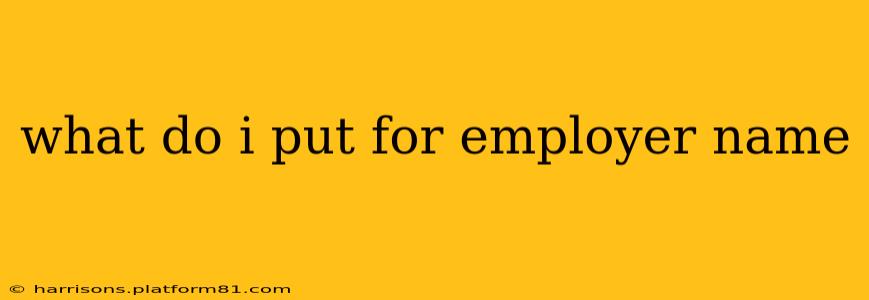 what do i put for employer name