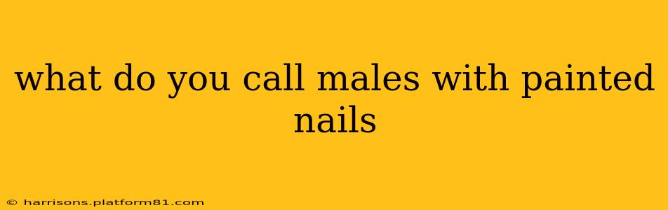 what do you call males with painted nails