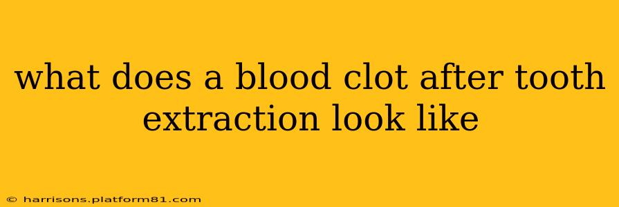 what does a blood clot after tooth extraction look like