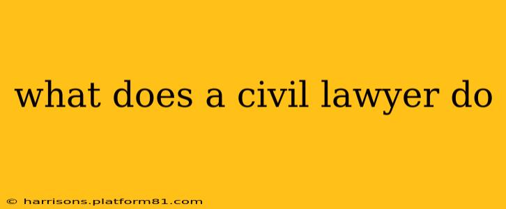 what does a civil lawyer do