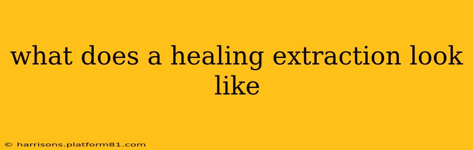 what does a healing extraction look like