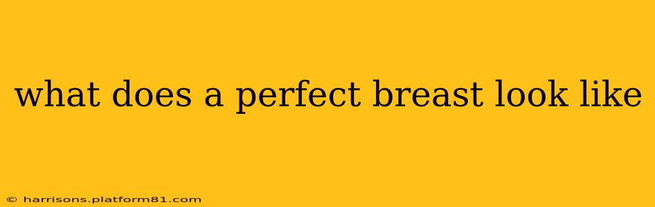 what does a perfect breast look like