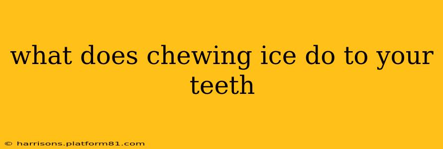 what does chewing ice do to your teeth