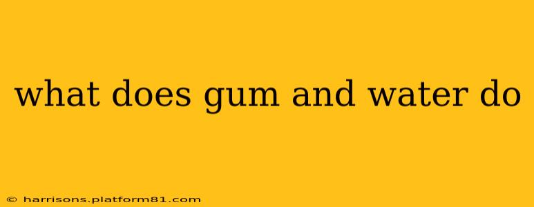 what does gum and water do