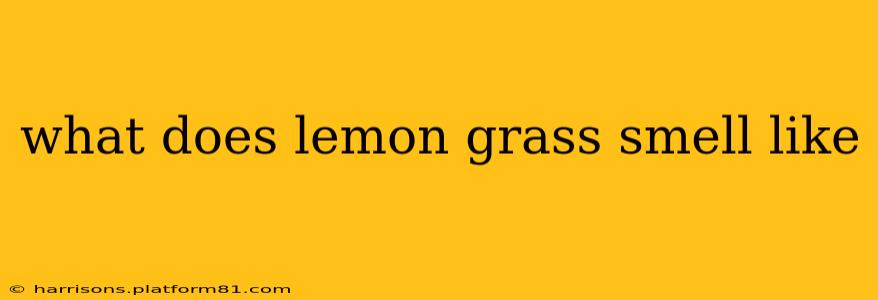 what does lemon grass smell like