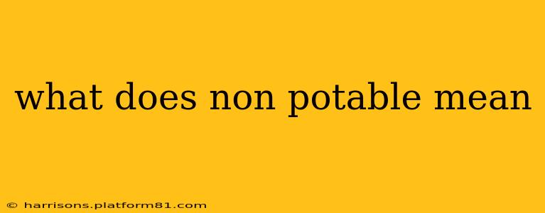what does non potable mean