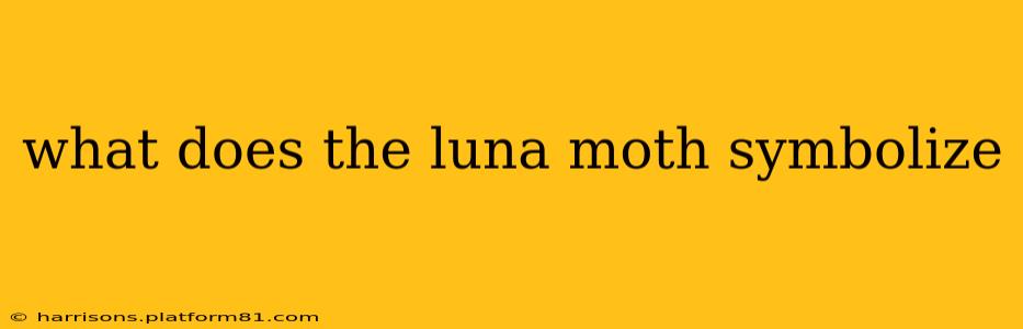 what does the luna moth symbolize