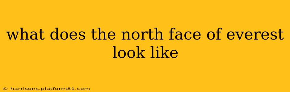what does the north face of everest look like