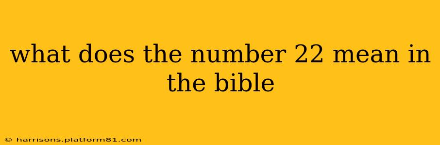 what does the number 22 mean in the bible