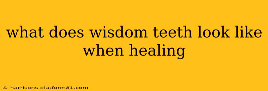 what does wisdom teeth look like when healing