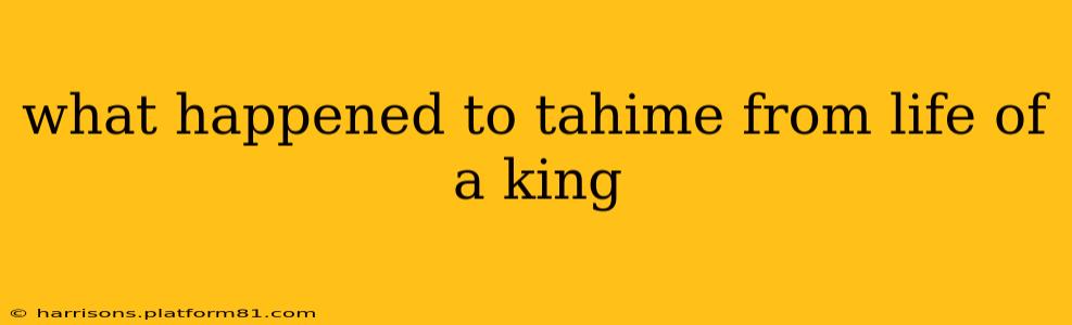 what happened to tahime from life of a king