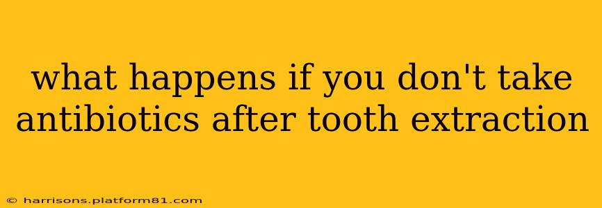 what happens if you don't take antibiotics after tooth extraction