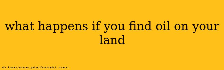 what happens if you find oil on your land