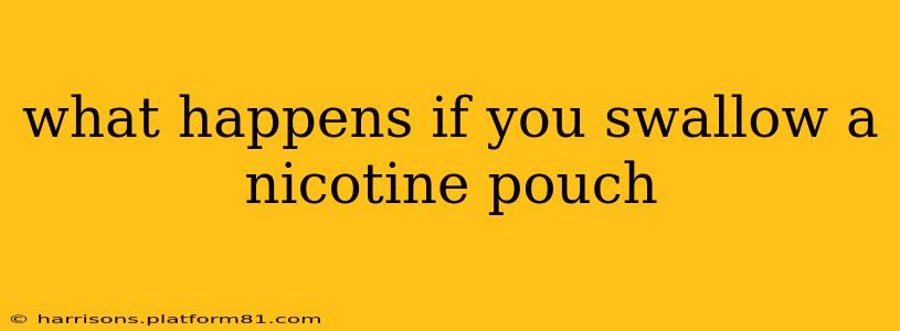 what happens if you swallow a nicotine pouch