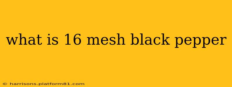 what is 16 mesh black pepper