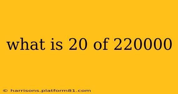 what is 20 of 220000