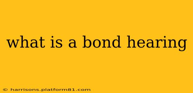 what is a bond hearing