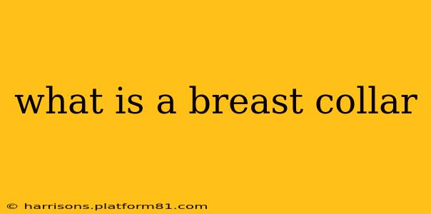 what is a breast collar