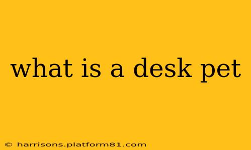what is a desk pet