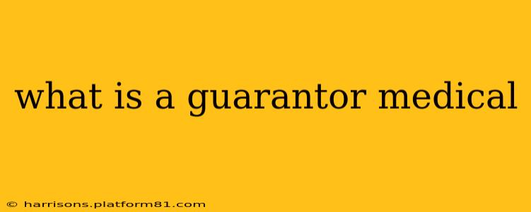 what is a guarantor medical