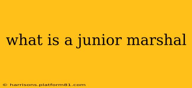 what is a junior marshal