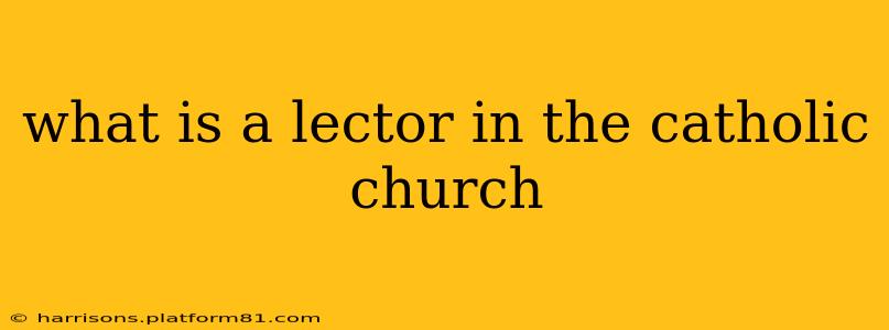 what is a lector in the catholic church