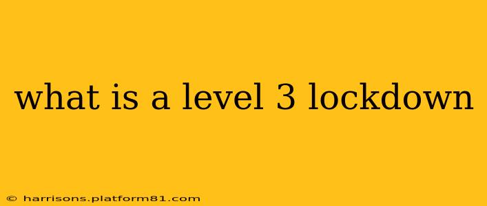 what is a level 3 lockdown