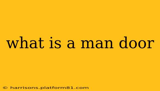 what is a man door