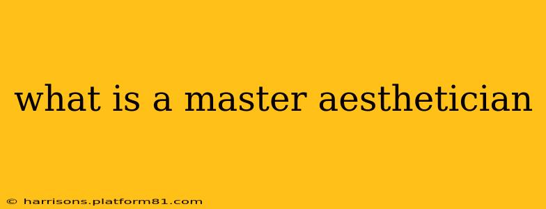 what is a master aesthetician