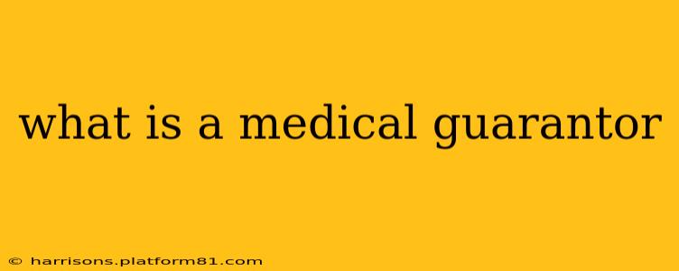 what is a medical guarantor