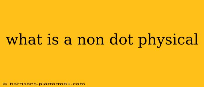 what is a non dot physical