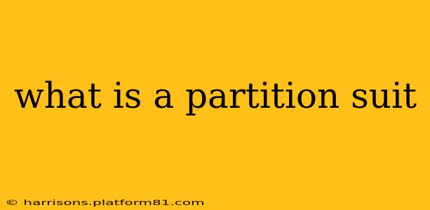 what is a partition suit