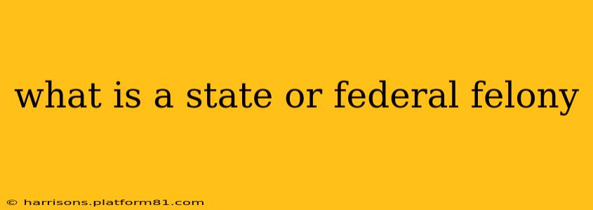 what is a state or federal felony