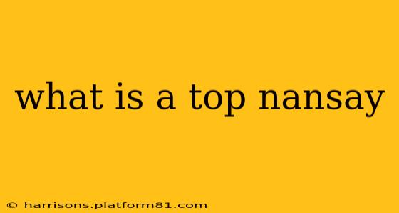 what is a top nansay