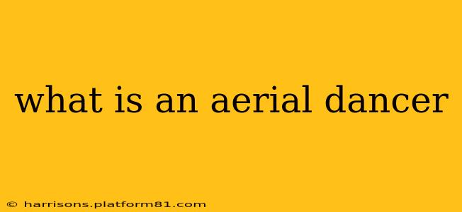 what is an aerial dancer