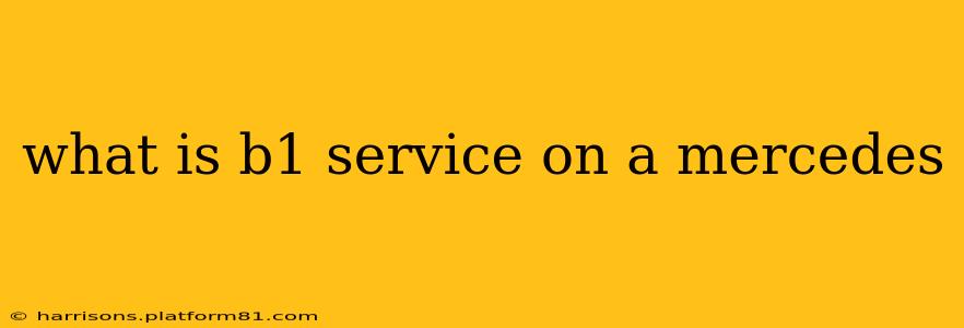 what is b1 service on a mercedes