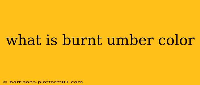 what is burnt umber color