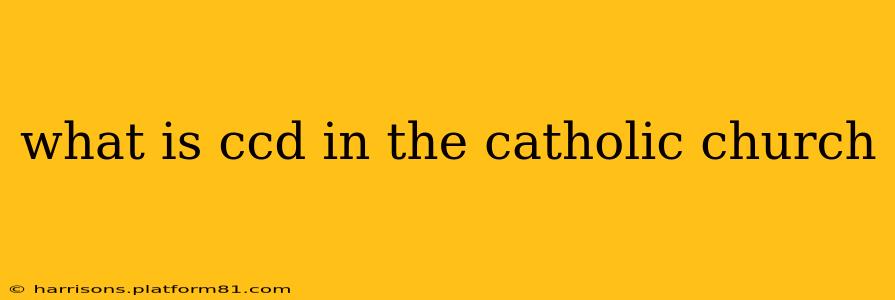 what is ccd in the catholic church