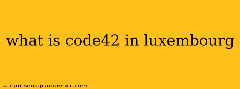 what is code42 in luxembourg
